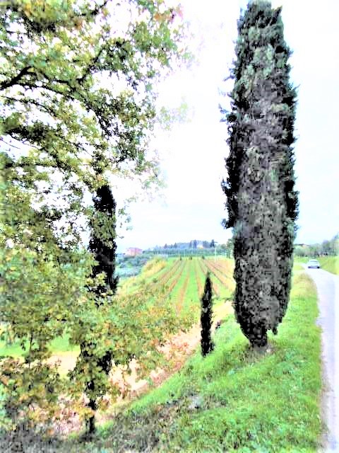 Agenzia Immobiliare San Martino