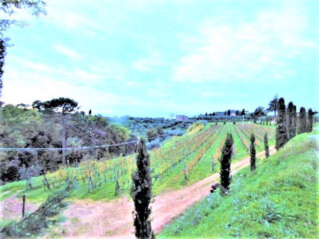 Agenzia Immobiliare San Martino