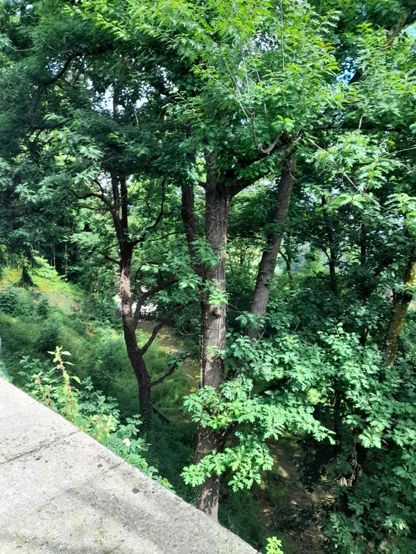 Agenzia Immobiliare San Martino