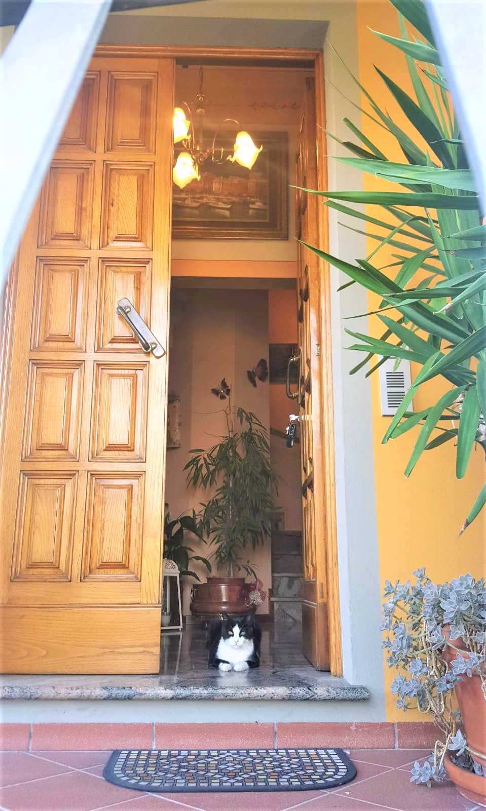 Agenzia Immobiliare San Martino