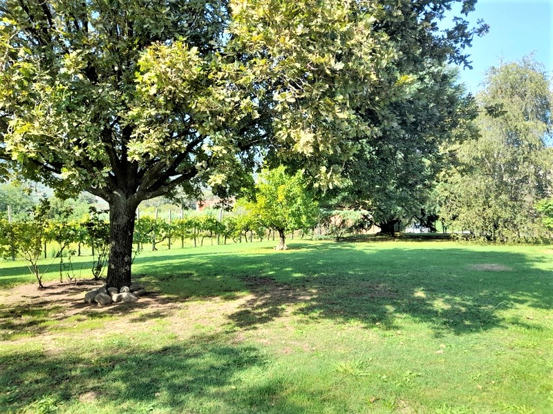 Agenzia Immobiliare San Martino