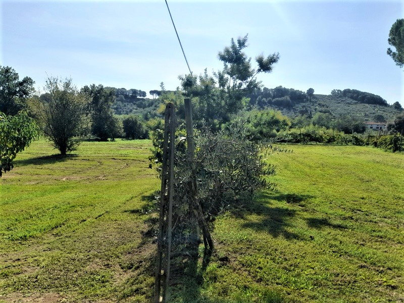 Agenzia Immobiliare San Martino