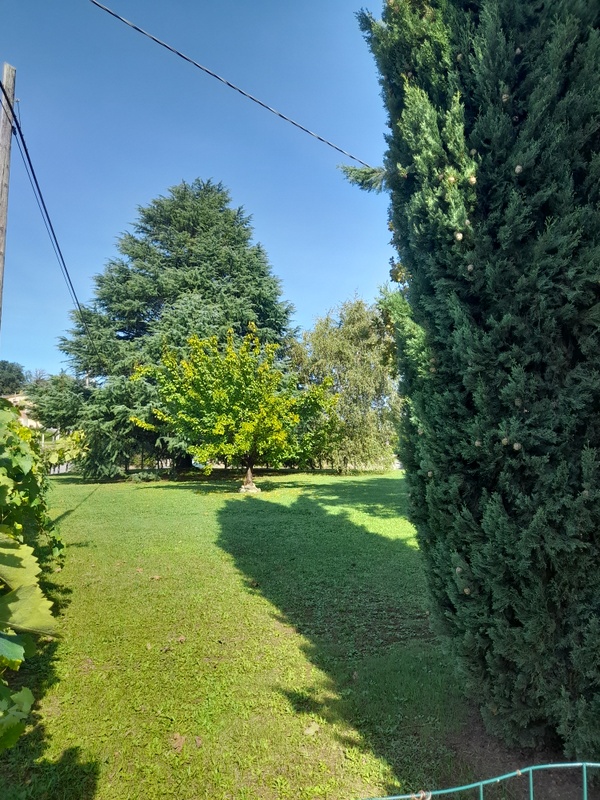 Agenzia Immobiliare San Martino