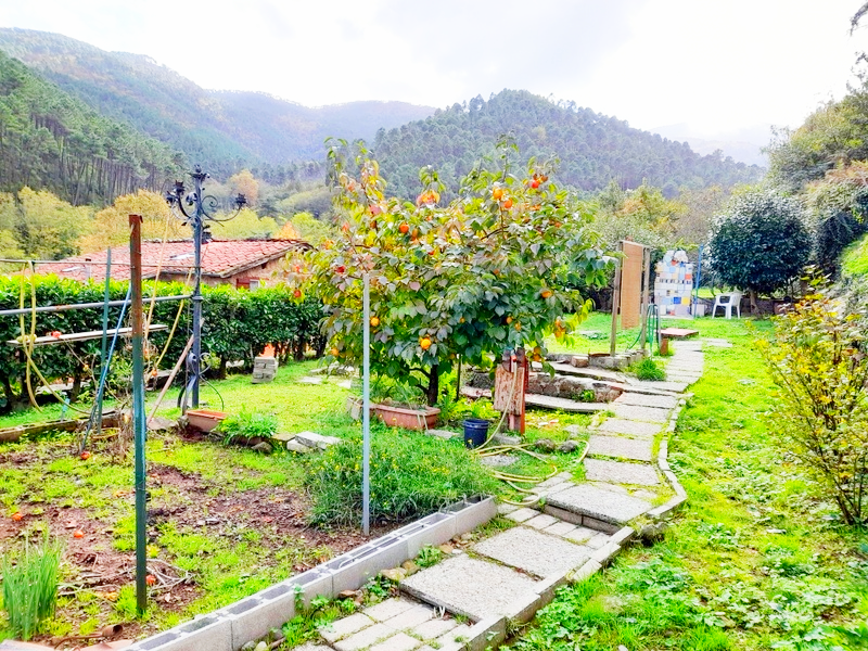 Agenzia Immobiliare San Martino