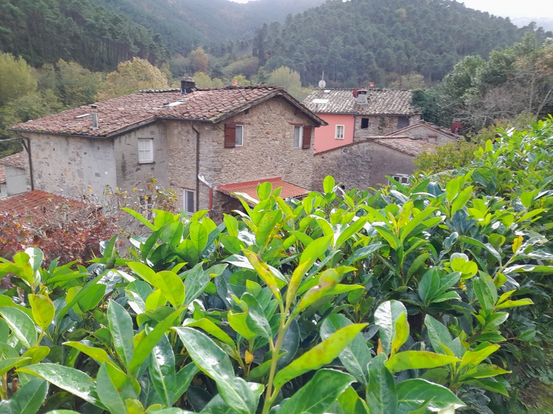 Agenzia Immobiliare San Martino