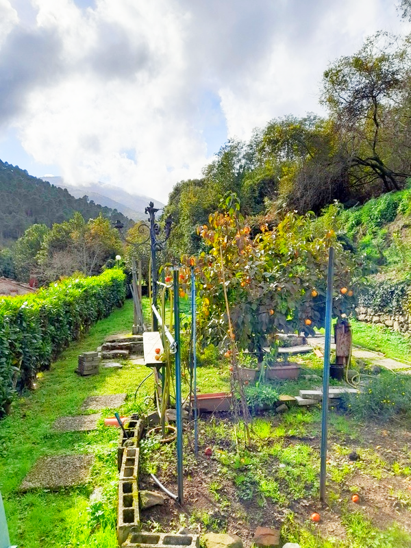 Agenzia Immobiliare San Martino