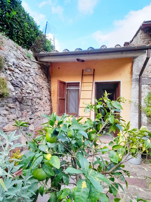 Agenzia Immobiliare San Martino