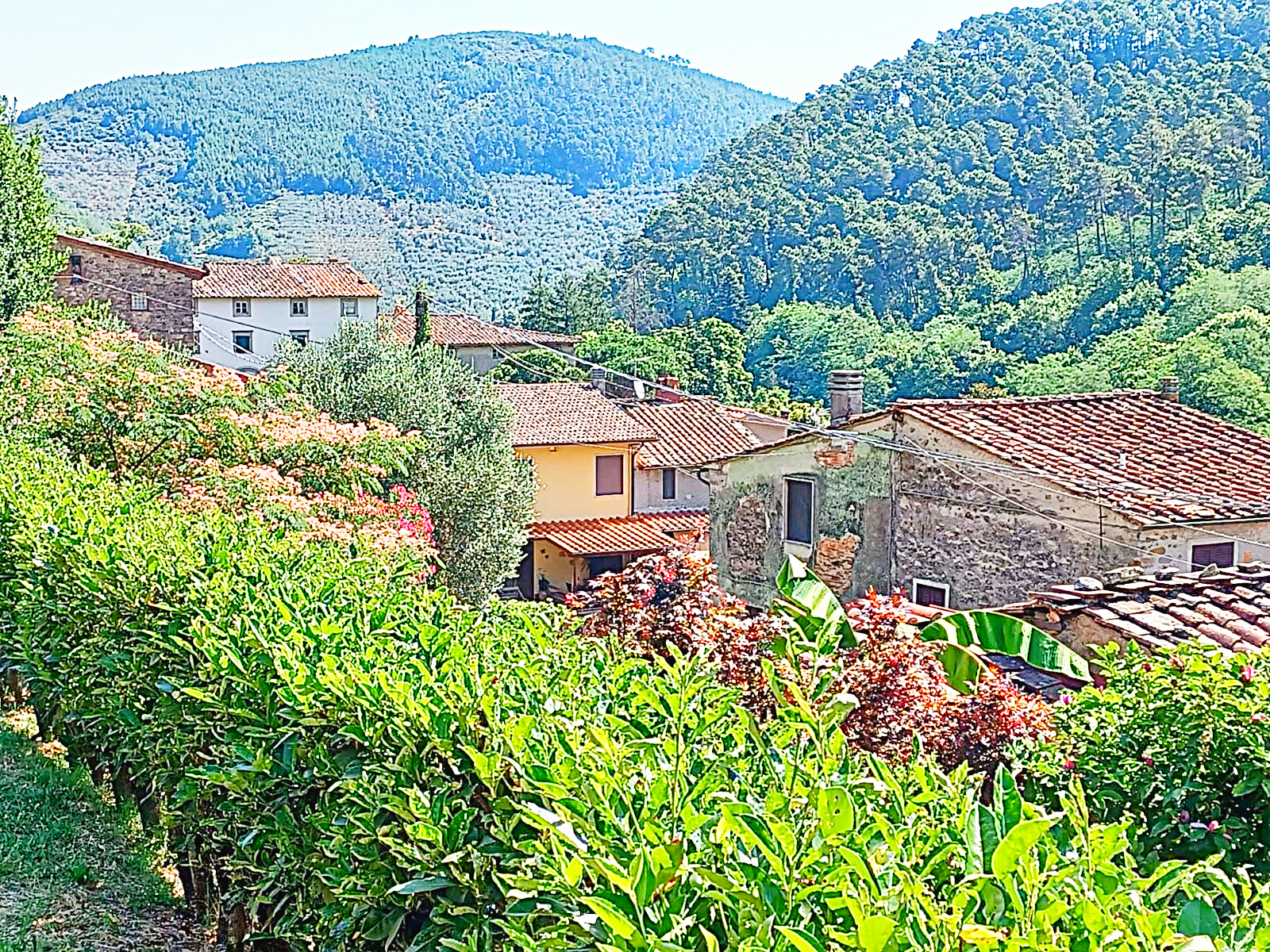 Agenzia Immobiliare San Martino