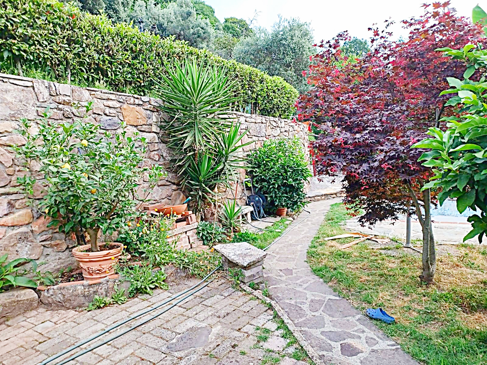 Agenzia Immobiliare San Martino