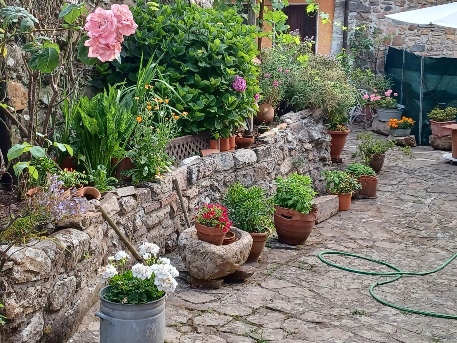 Agenzia Immobiliare San Martino