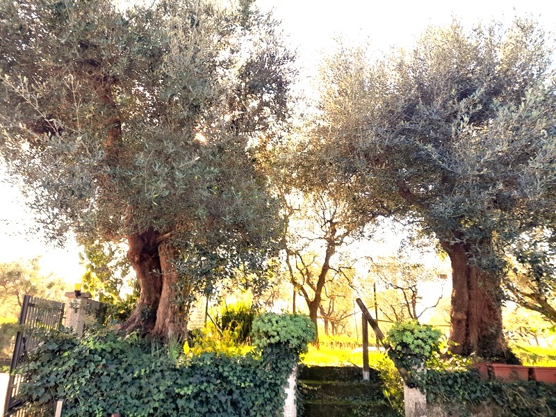 Agenzia Immobiliare San Martino