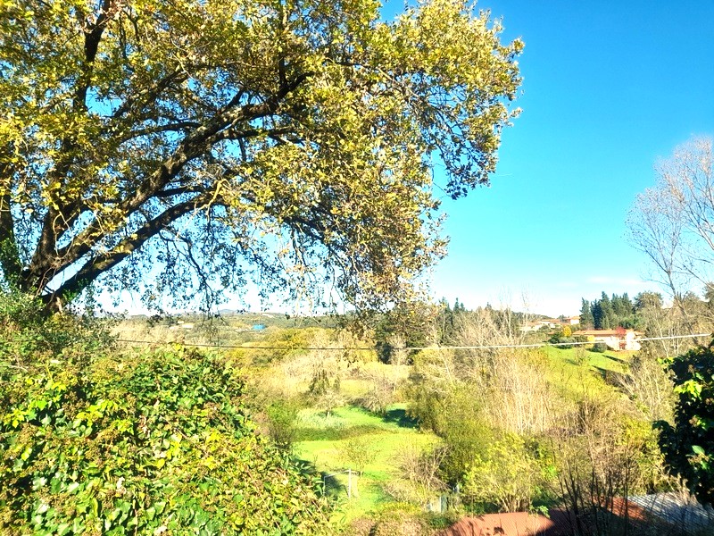 Agenzia Immobiliare San Martino