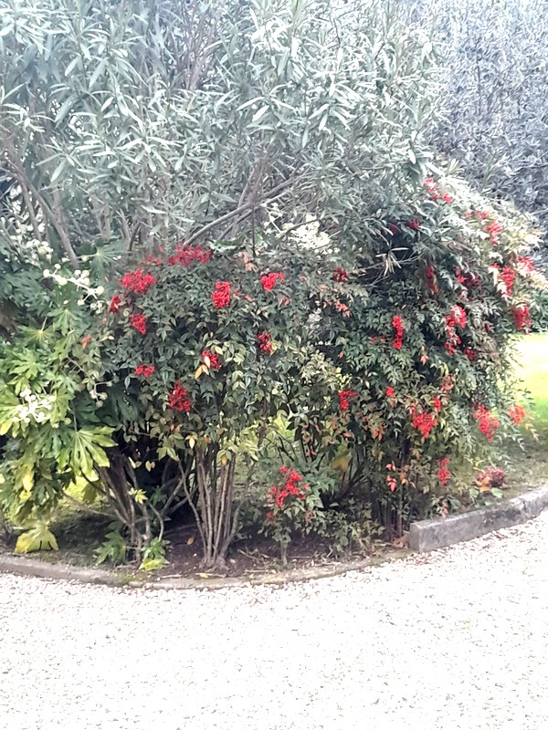 Agenzia Immobiliare San Martino